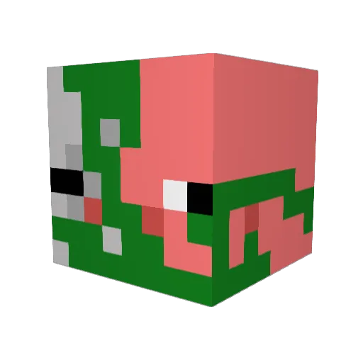 Niels795 Minecraft avatar head, 3D render