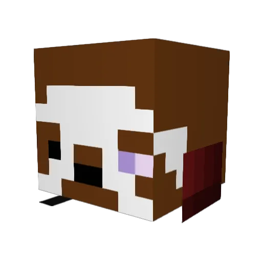 Nienart Minecraft avatar head, 3D render