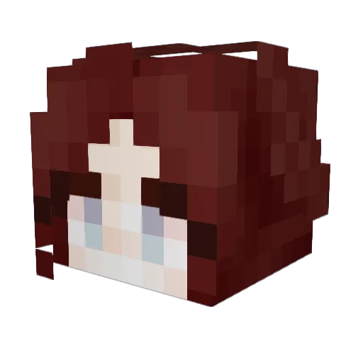 Nienique Minecraft avatar head, 3D render