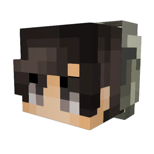 Nierien Minecraft avatar head, 3D render