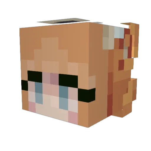 Niessiegirl Minecraft avatar head, 3D render