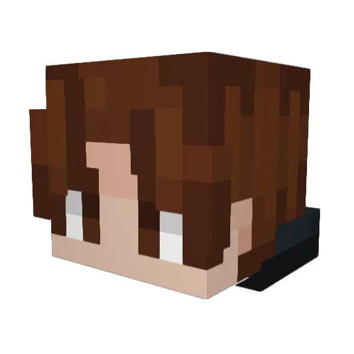 Niestrat99 Minecraft avatar head, 3D render
