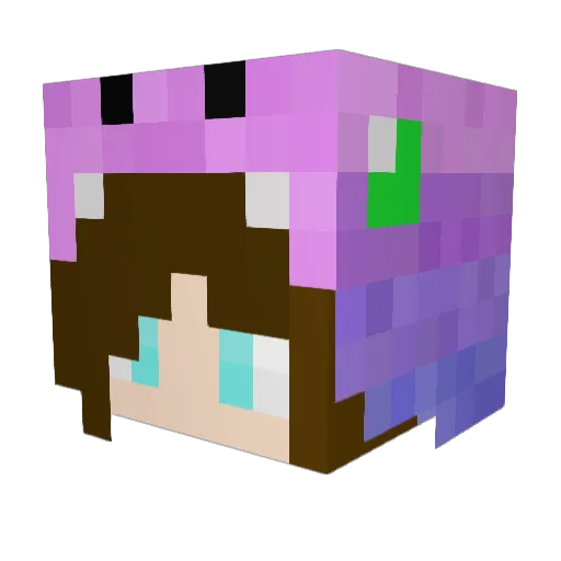 NietAltijdSlim Minecraft avatar head, 3D render