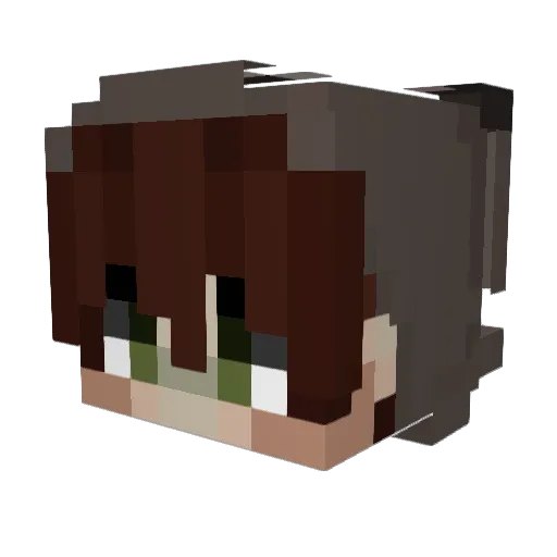 NietDenis Minecraft avatar head, 3D render