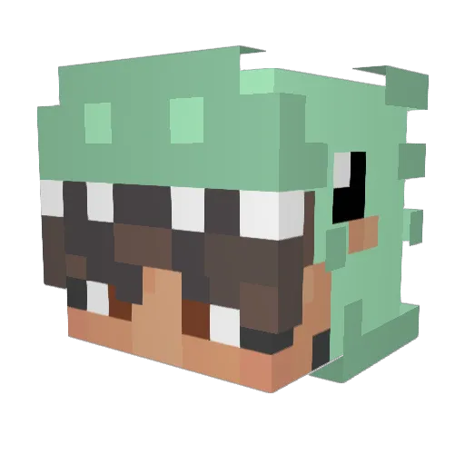 NietNicks_ Minecraft avatar head, 3D render