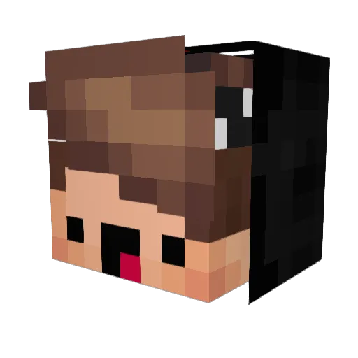 Niet_Nicks_ Minecraft avatar head, 3D render