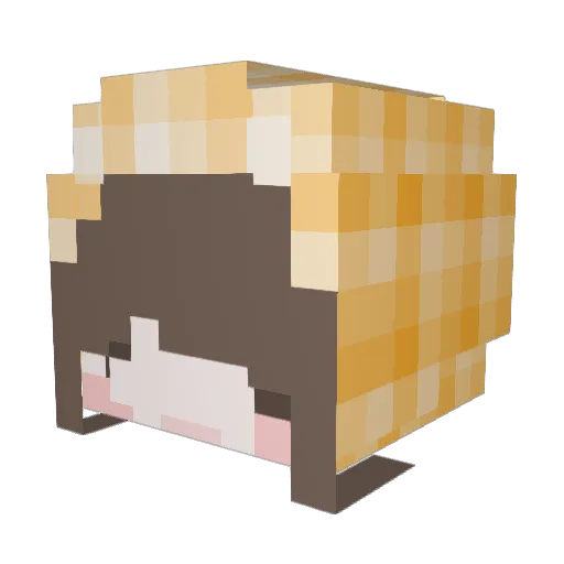Nieta1 Minecraft avatar head, 3D render
