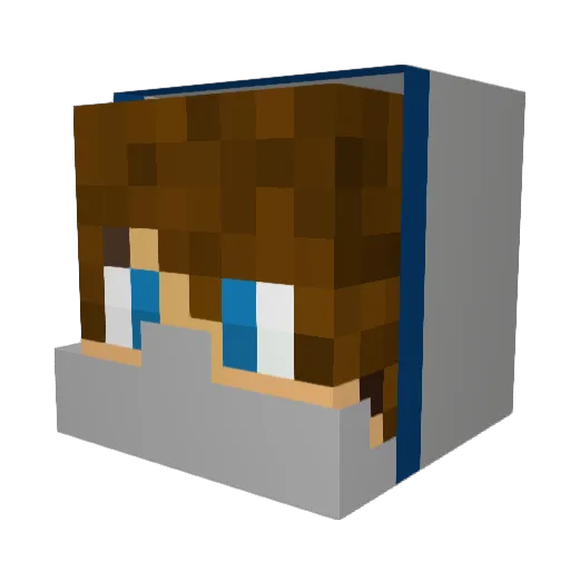 Nife21 Minecraft avatar head, 3D render