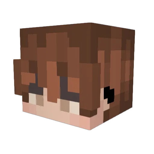 NiffSchniff Minecraft avatar head, 3D render