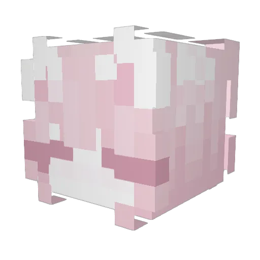 NifftyRu Minecraft avatar head, 3D render