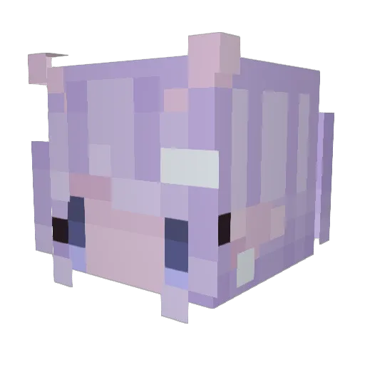 NiftyBert Minecraft avatar head, 3D render