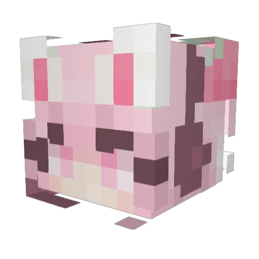 NiftyMissi Minecraft avatar head, 3D render