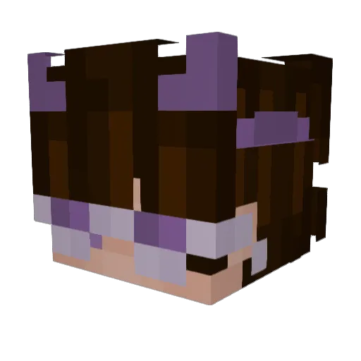 Niftyharbor738 Minecraft avatar head, 3D render
