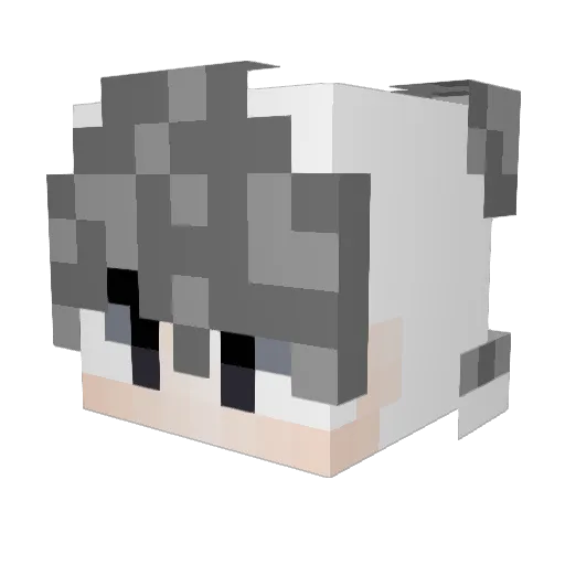 Nigen057 Minecraft avatar head, 3D render
