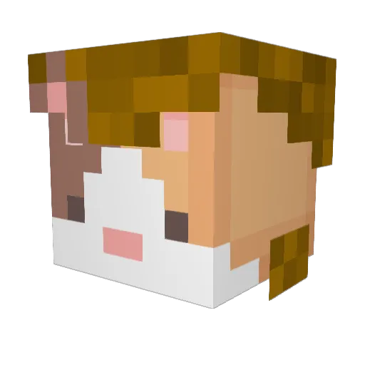 Nigev Minecraft avatar head, 3D render