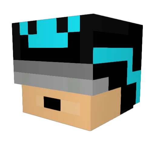NiggaMan_69 Minecraft avatar head, 3D render