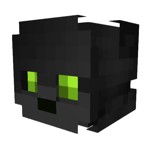 NiggoLuvsxHype Minecraft avatar head, 3D render