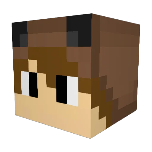 Niggo_HD02 Minecraft avatar head, 3D render