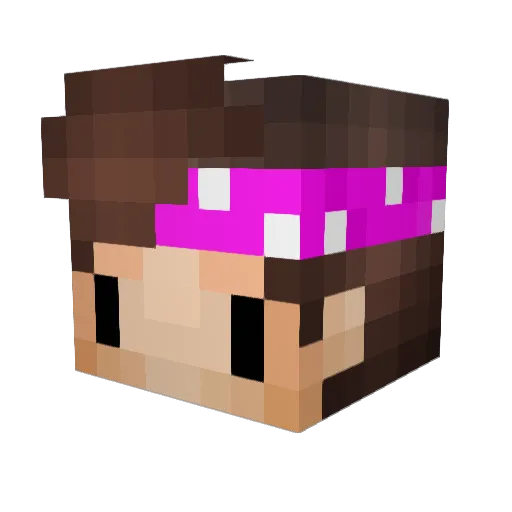 Niggo_x3 Minecraft avatar head, 3D render
