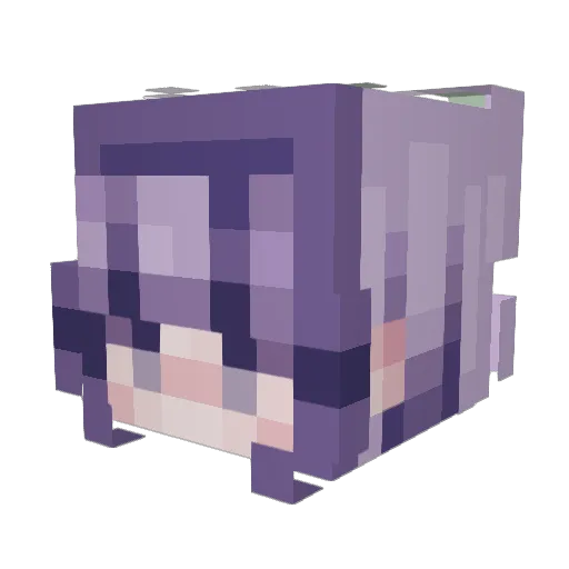 Nigh1982 Minecraft avatar head, 3D render
