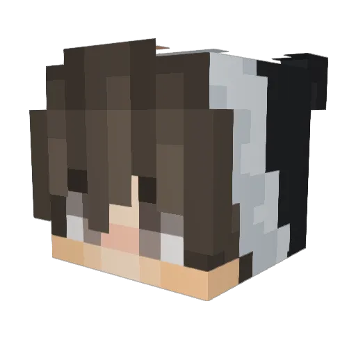 Nigh_tmare1 Minecraft avatar head, 3D render