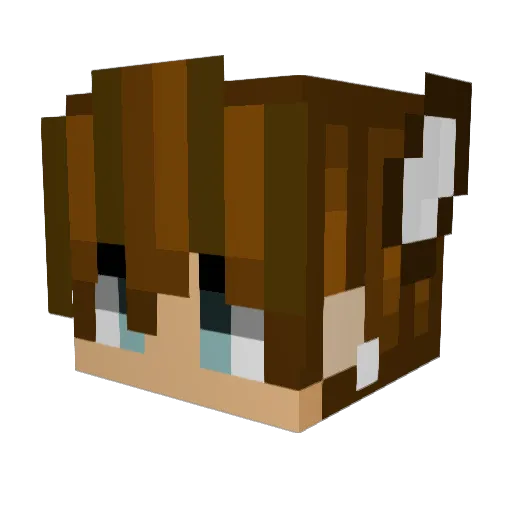 Nighaslayer1337 Minecraft avatar head, 3D render