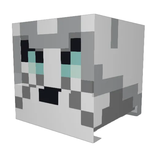 NighbosSife Minecraft avatar head, 3D render