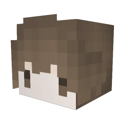 Night0208 Minecraft avatar head, 3D render