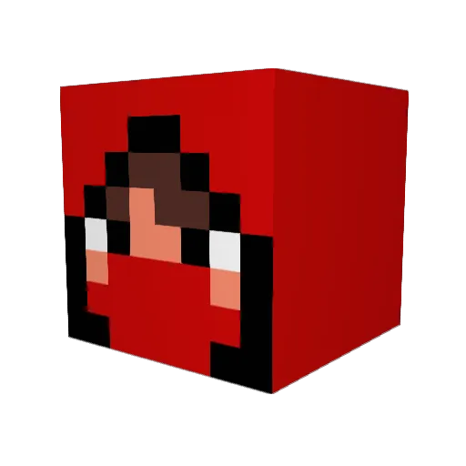 Night1121 Minecraft avatar head, 3D render
