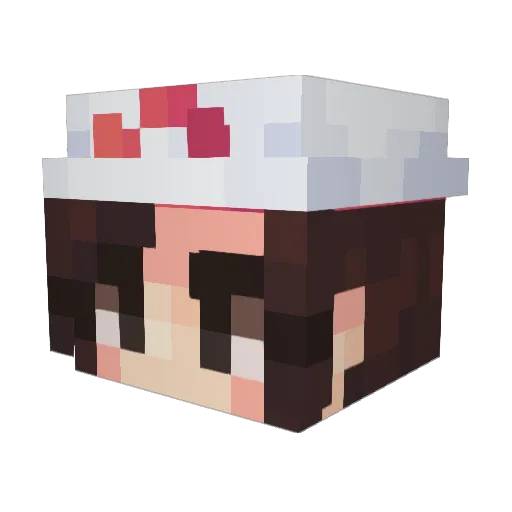 Night2155 Minecraft avatar head, 3D render