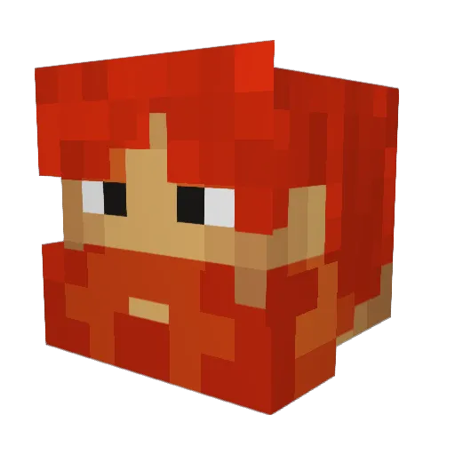 Night4Fun Minecraft avatar head, 3D render