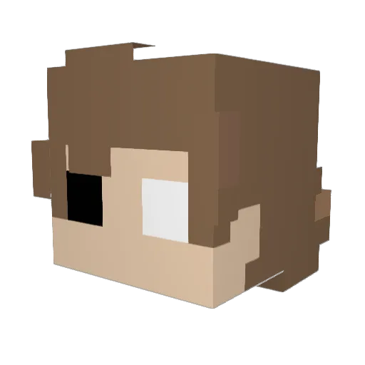 Night4Life Minecraft avatar head, 3D render