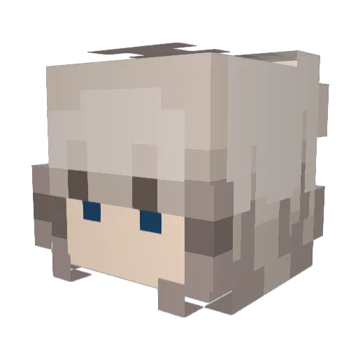 Night7551 Minecraft avatar head, 3D render