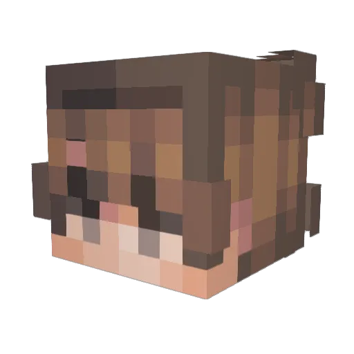 NightBag644 Minecraft avatar head, 3D render