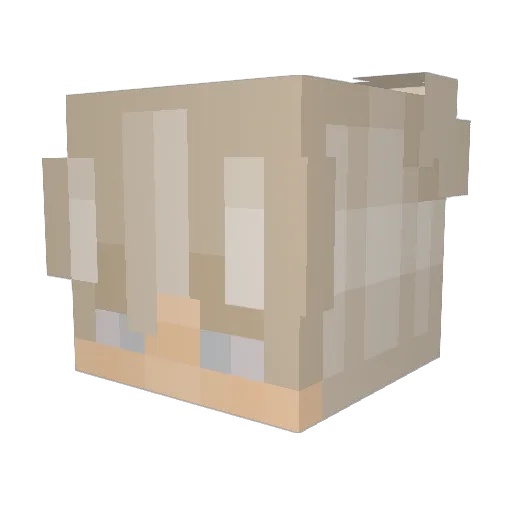 NightBiscuit333 Minecraft avatar head, 3D render