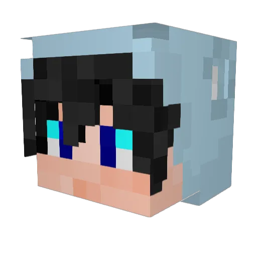 NightBreezy Minecraft avatar head, 3D render