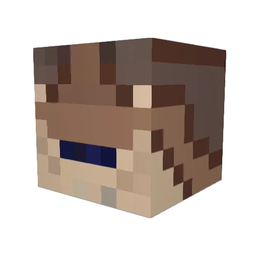 NightCicada18 Minecraft avatar head, 3D render