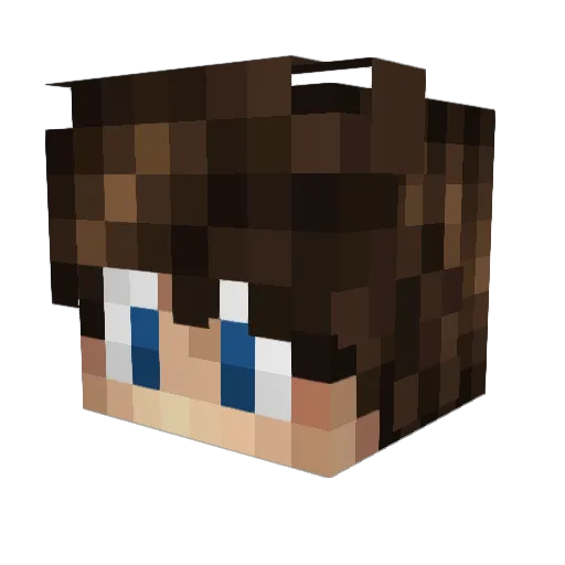 NightCrusader8 Minecraft avatar head, 3D render