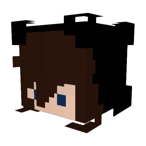 NightDoom_MC Minecraft avatar head, 3D render