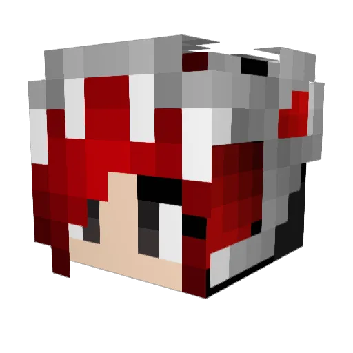 NightDragon98 Minecraft avatar head, 3D render