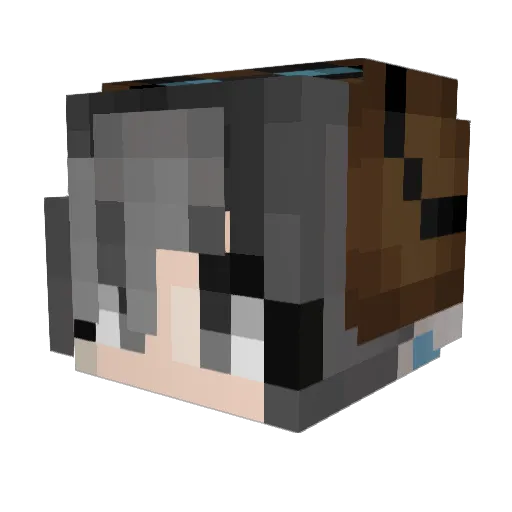 NightEpiphany Minecraft avatar head, 3D render