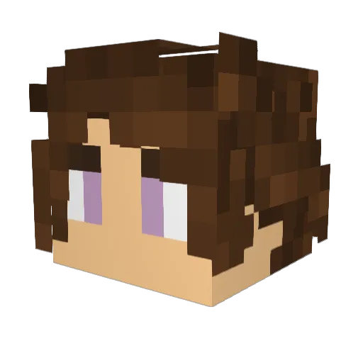 NightFallGod Minecraft avatar head, 3D render