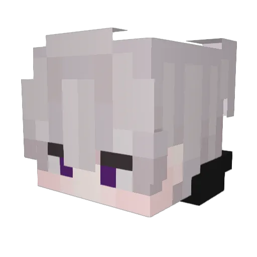 NightFallen21 Minecraft avatar head, 3D render