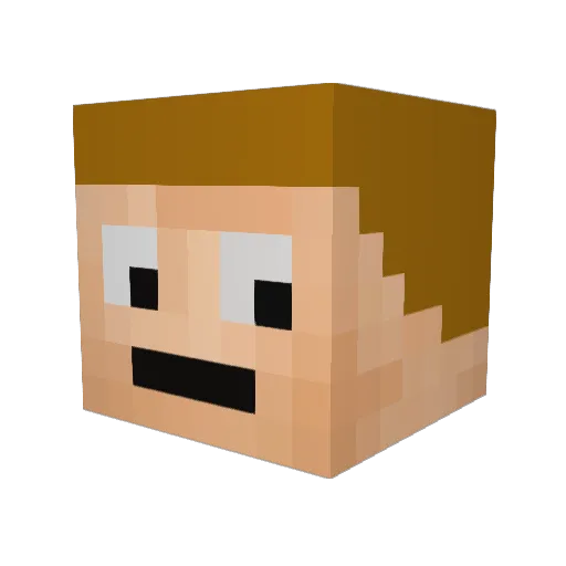 NightFlashLord Minecraft avatar head, 3D render