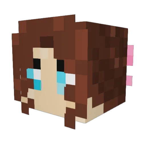 NightFlower1412 Minecraft avatar head, 3D render