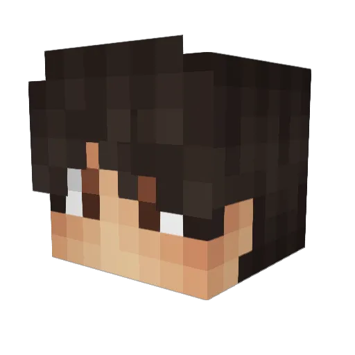 NightFox52 Minecraft avatar head, 3D render