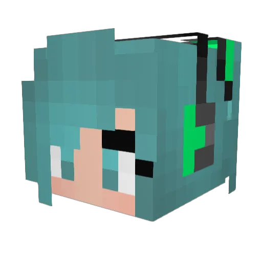 NightFury6546 Minecraft avatar head, 3D render