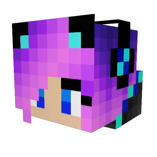 NightFuryO3 Minecraft avatar head, 3D render