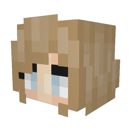 NightGathers Minecraft avatar head, 3D render