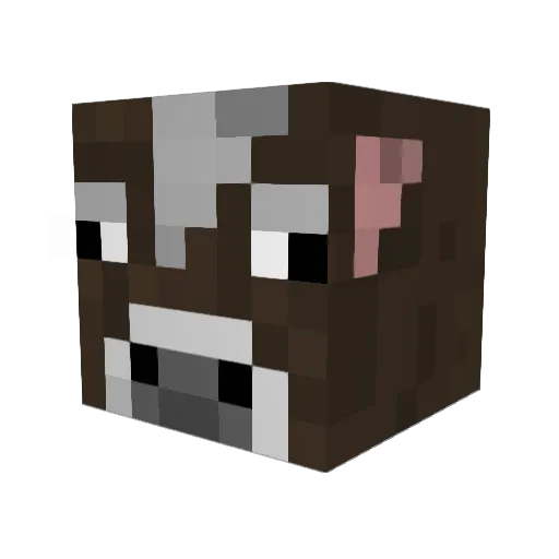 NightHawk1331 Minecraft avatar head, 3D render